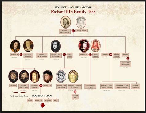 tudor genes